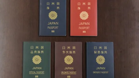 米切尔33分6板领骑士连胜，力克灰熊，八连胜佳绩再续！