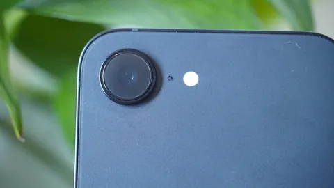 东契奇迎战旧主 雷迪克态度淡然