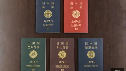 克瓦拉茨赫利亚助力巴黎逆转里昂，获评巴黎3-2战最佳球员